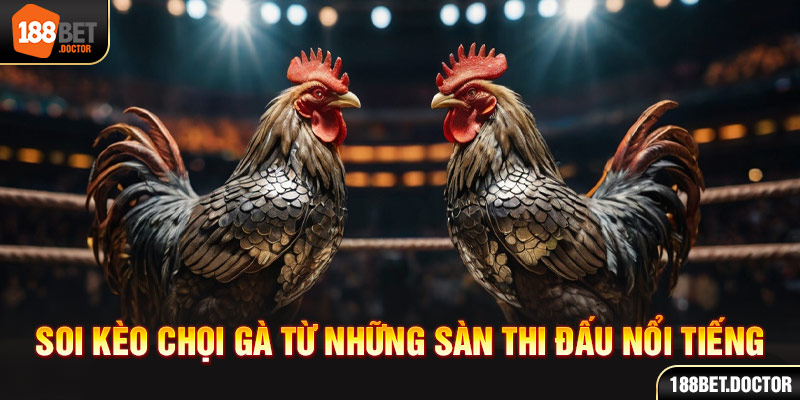 5g bet app